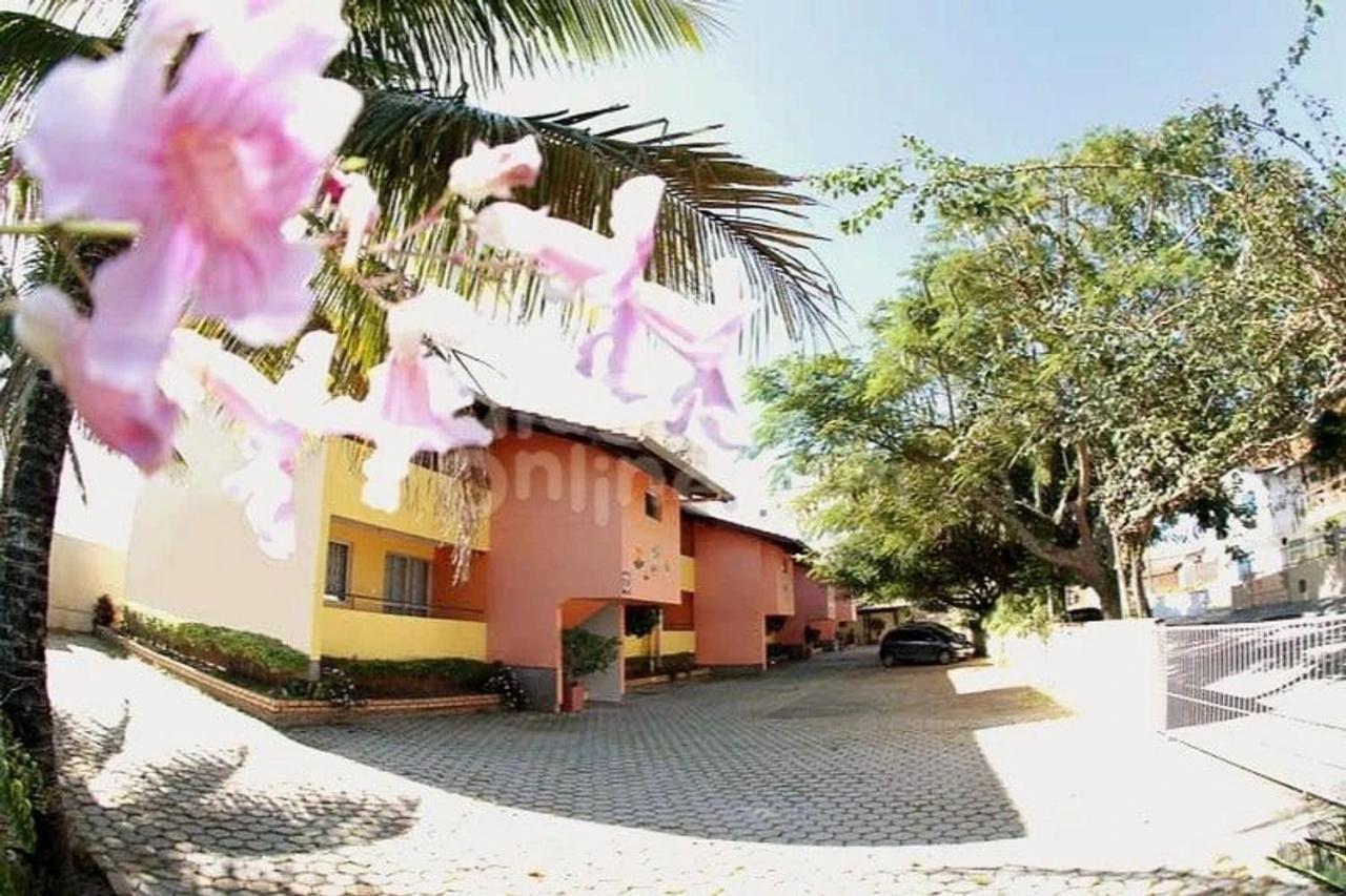 Flamboyant Bombinhas